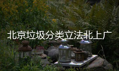 入强垃圾立法类北京北上制分将进广深分类